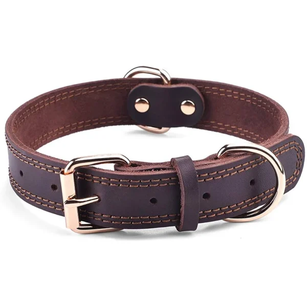 Heavy Duty Leather Dog Collar