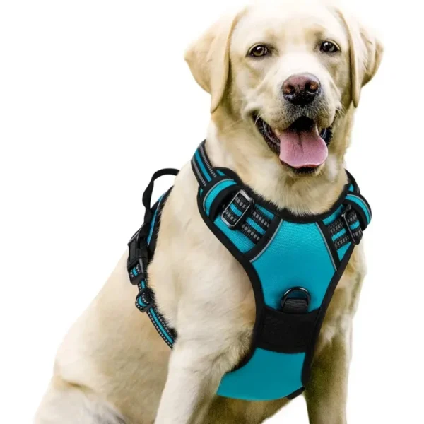 Leather Dog Harness Leash Set