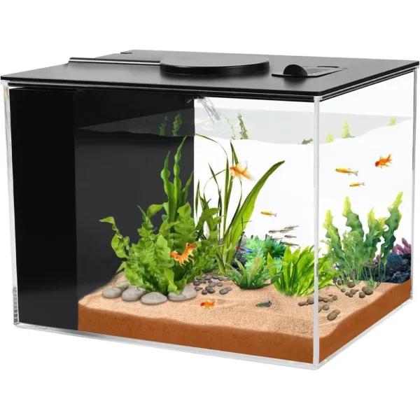 Small Aquarium Kit With LED